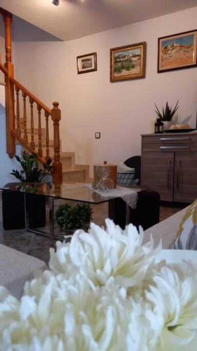 카니에예스 Casa Joana 빌라 외부 사진